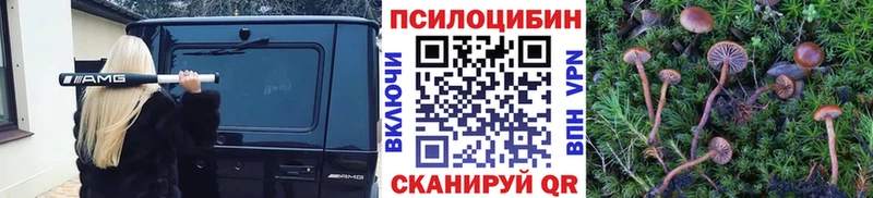 Псилоцибиновые грибы мухоморы  хочу наркоту  Краснокамск 